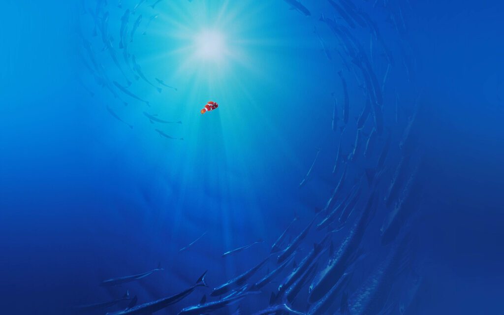 Vibrant Finding Nemo Laptop Wallpaper - Nemo in a Sunlit Ocean