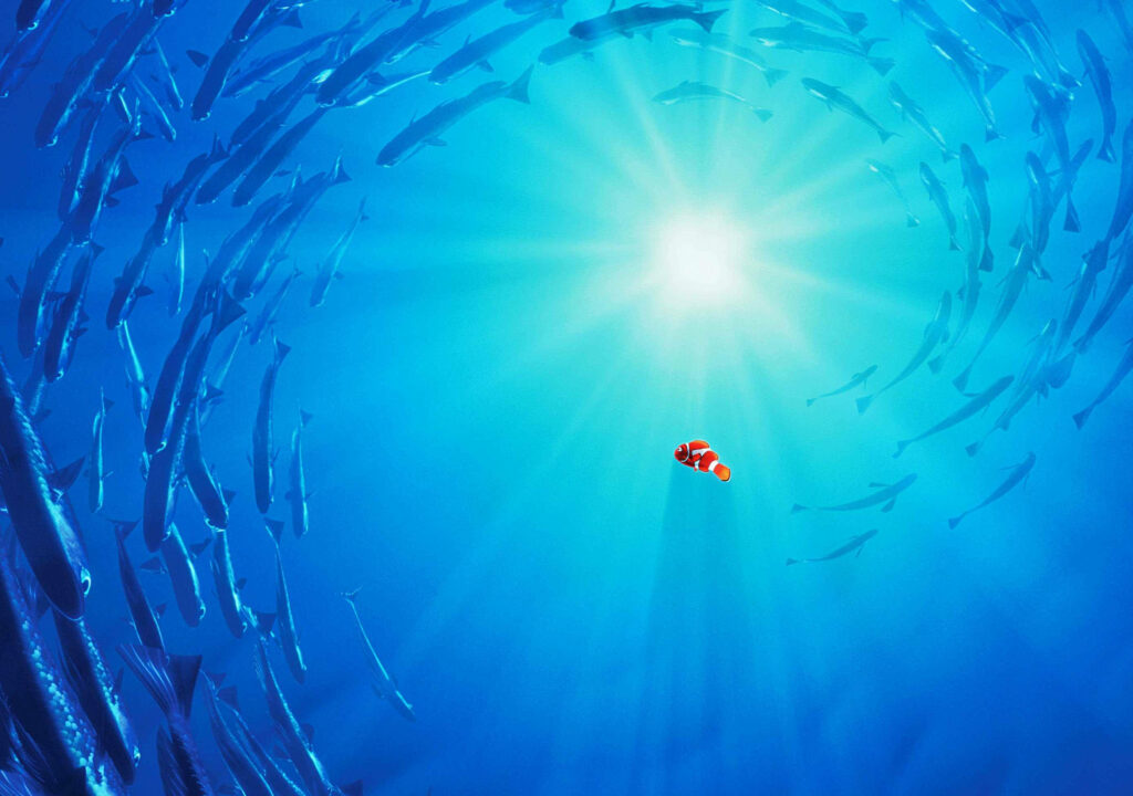 Vibrant Finding Nemo Wallpaper: Nemo with Fish in Bright Ocean Light
