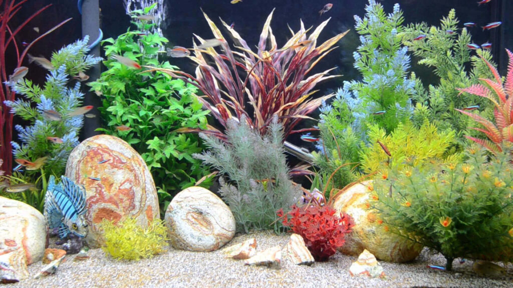 Vibrant Fish Tank Wallpaper: Colorful Plants & Lively Aquatic Scene