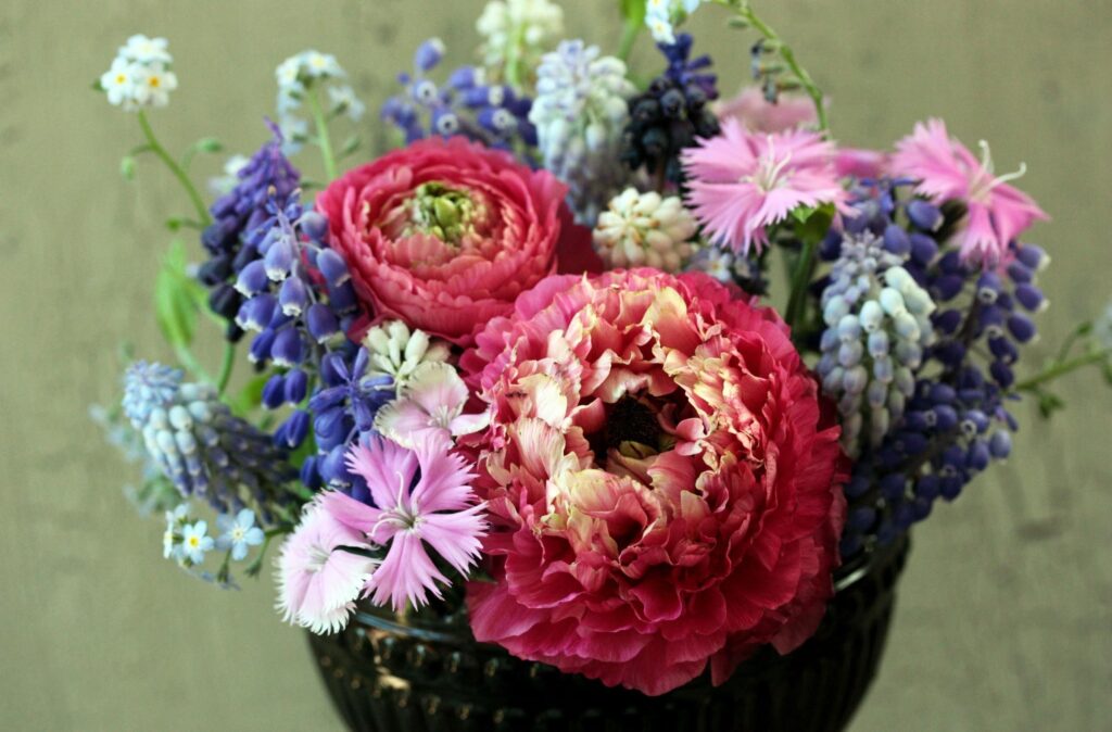 Vibrant Floral Wallpaper: Pink Ranunculus & Blue Muscari Background