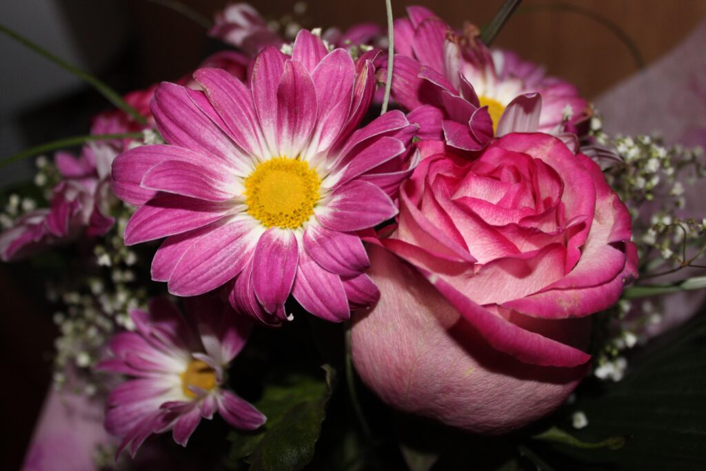 Elegant Floral Bouquet Wallpaper: Pink Roses & Daisies Close-Up