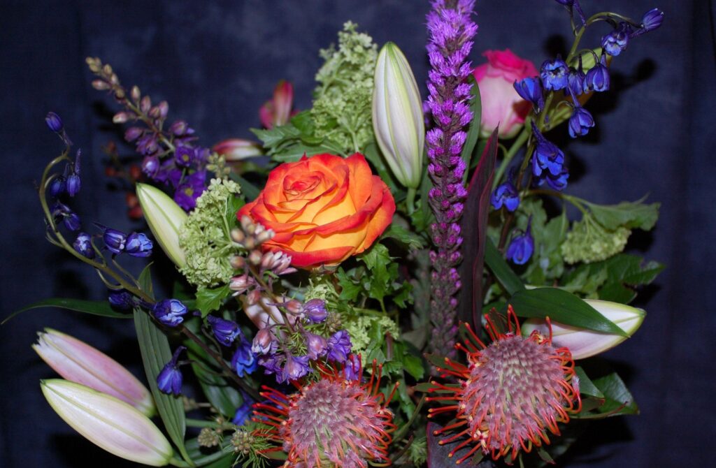 Vibrant Floral Bouquet Wallpaper: Roses, Delphinium & Protea on Dark Background