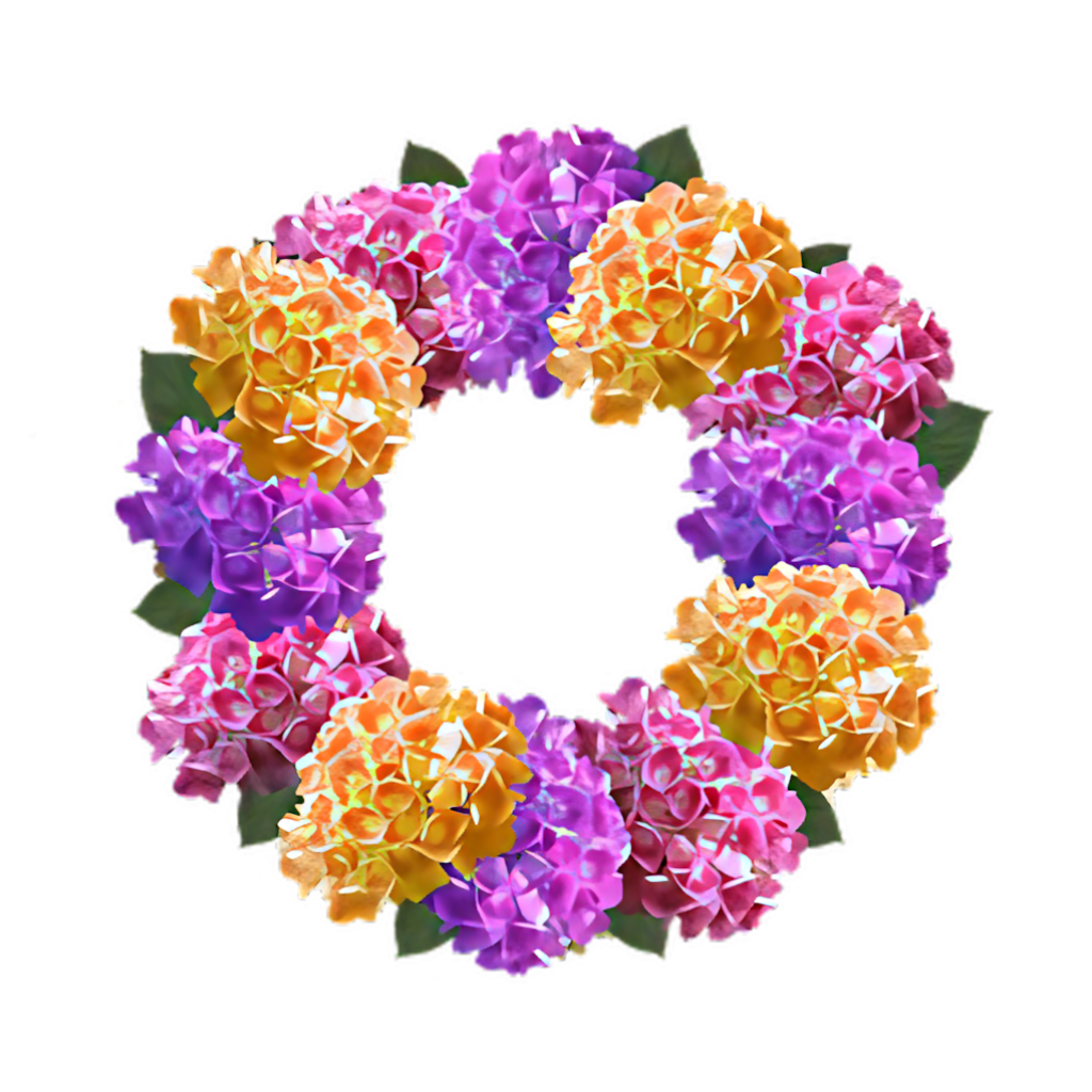 Vibrant Floral Crown Wallpaper - Colorful Flowers on Transparent Background