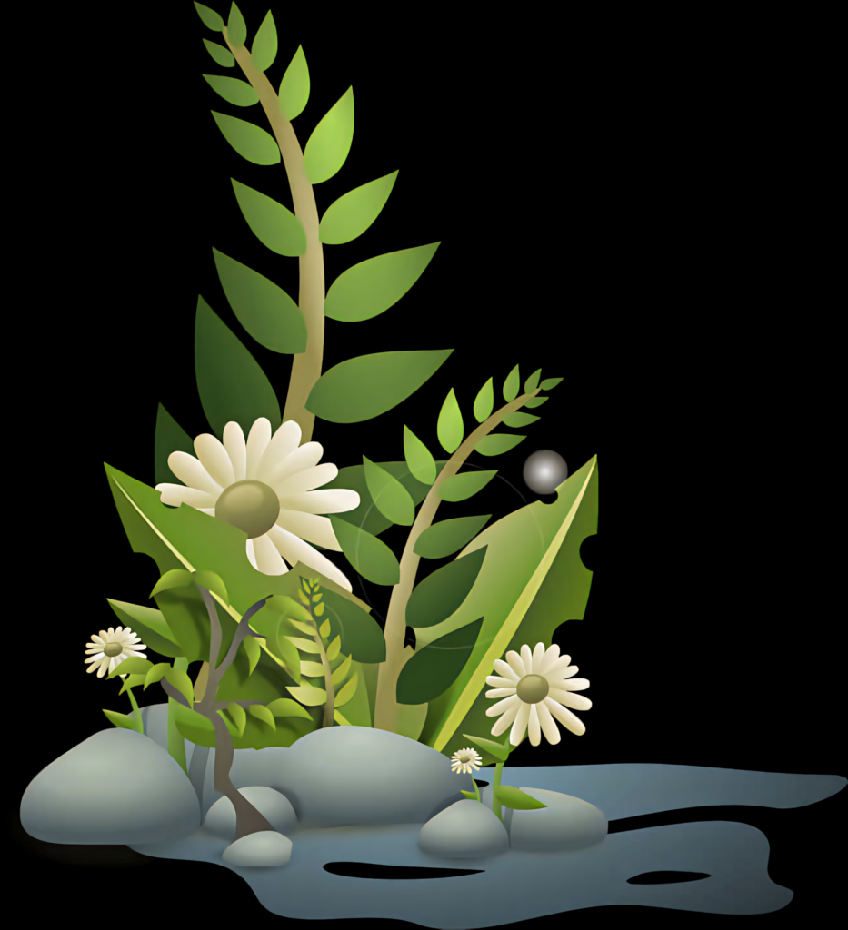 Vibrant Floral Vector Wallpaper with Daisies and Smooth Stones