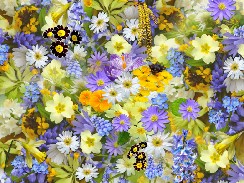Vibrant Floral Wallpaper: Cheerful Daisies, Crocuses & Forget-Me-Nots