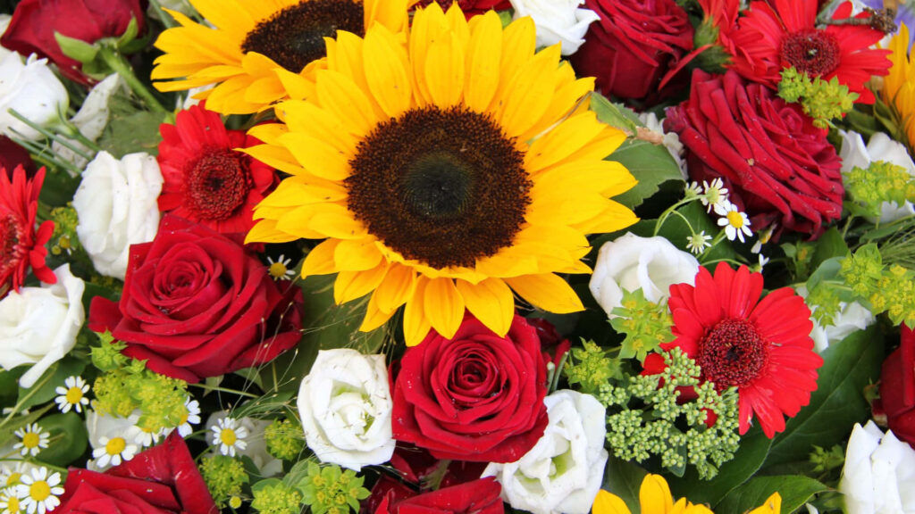 Vibrant Floral Wallpaper: Bright Sunflowers, Red Roses & White Blossoms