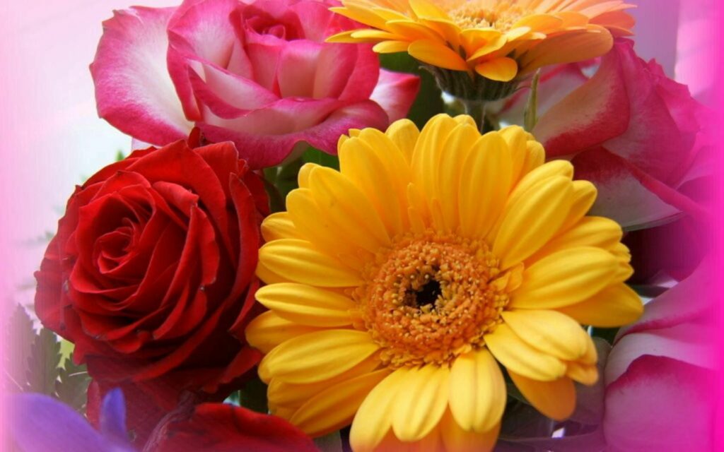 Vibrant Floral Wallpaper: Bright Yellow Gerbera & Red Roses