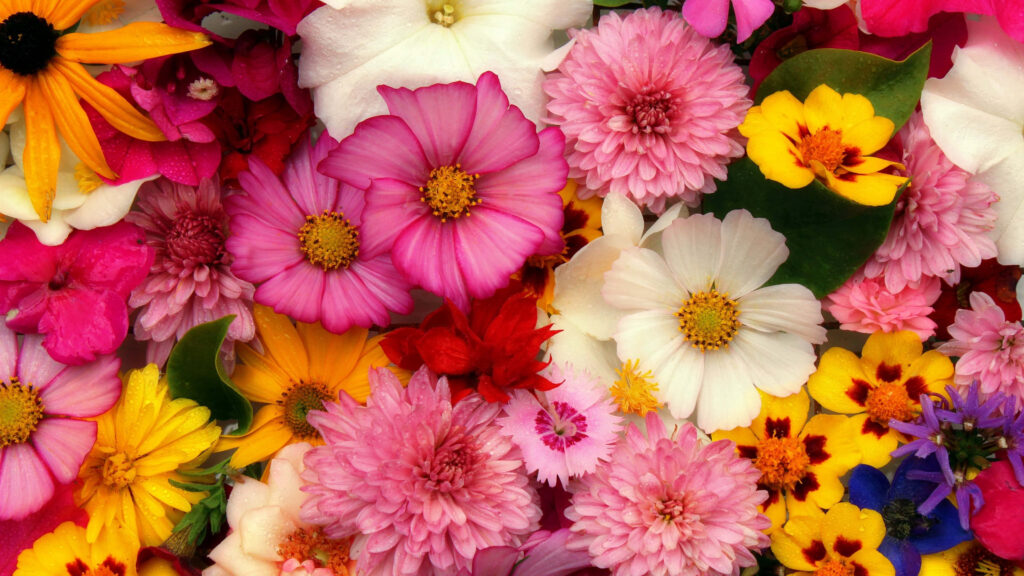 Vibrant 4K Floral Wallpaper: Colorful Flower Arrangement Background