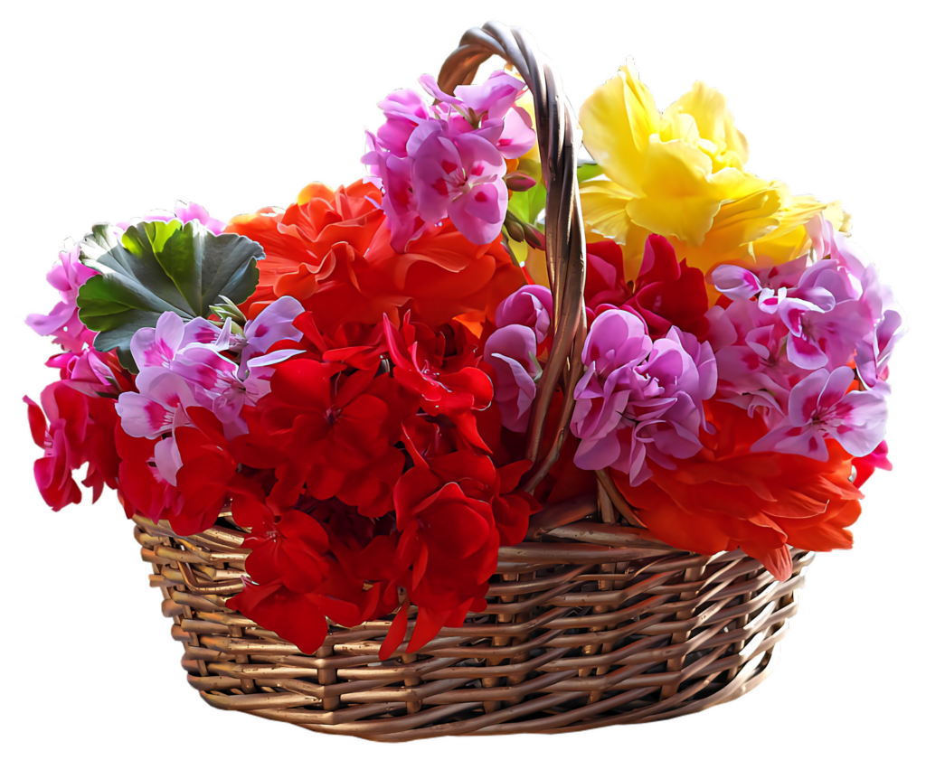 Vibrant Flower Basket Wallpaper - Colorful Floral Design on Transparent