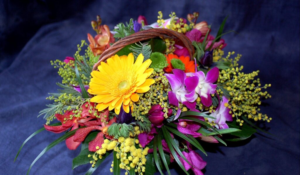 Vibrant Floral Wallpaper: Colorful Gerbera, Chrysanthemums & Mimosa