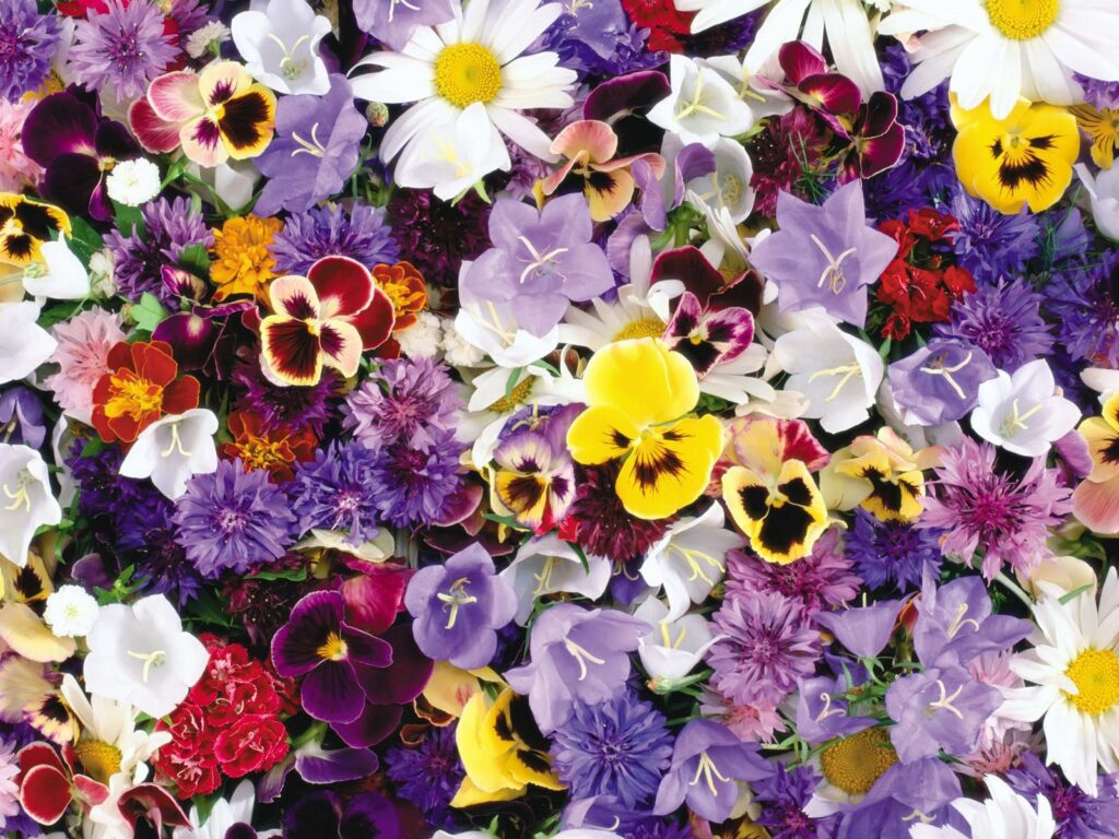 Cheerful Floral Tapestry Wallpaper: Colorful Flowers 1600x1200