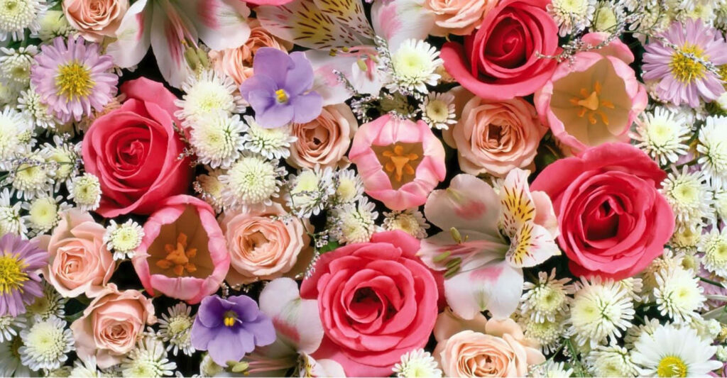 Vibrant Floral Wallpaper: Colorful Roses, Daisies & Lilies Background