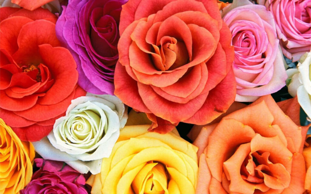 Vibrant Colorful Flower Bouquet Wallpaper - Lush & Cheerful Background