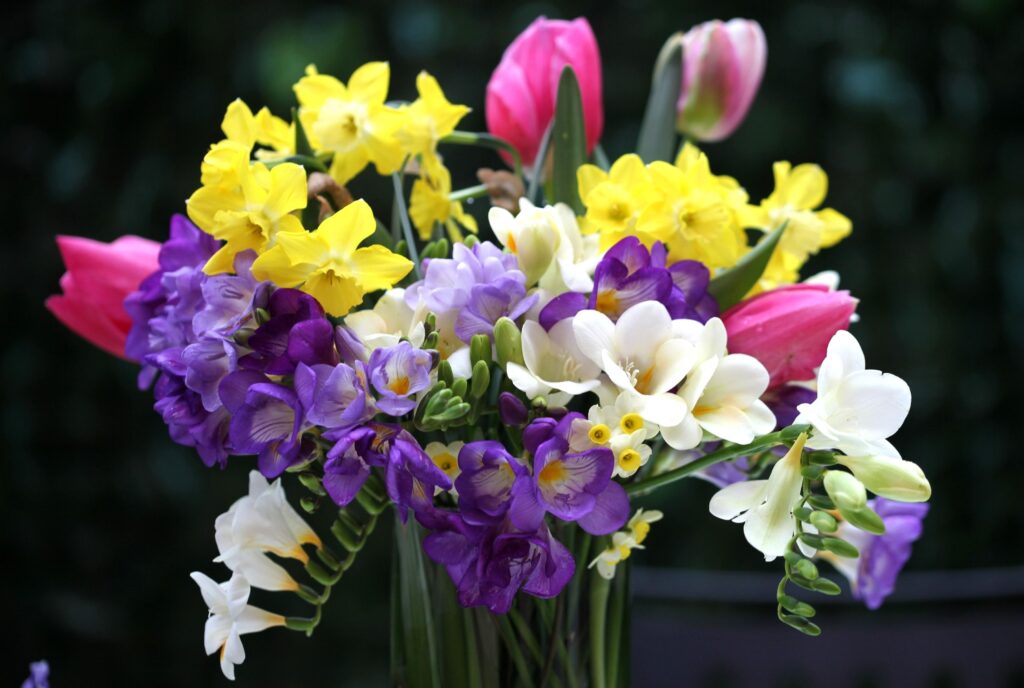 Vibrant Flower Bouquet Wallpaper: Tulips, Daffodils & Freesia
