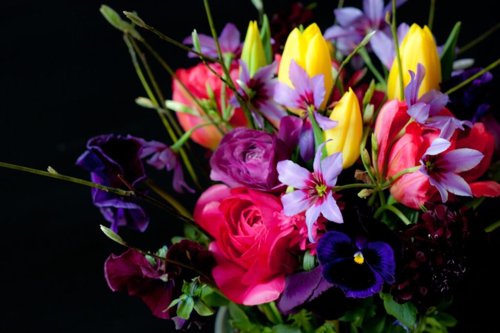 Vibrant Floral Wallpaper: Colorful Tulips & Ranunculus on Black