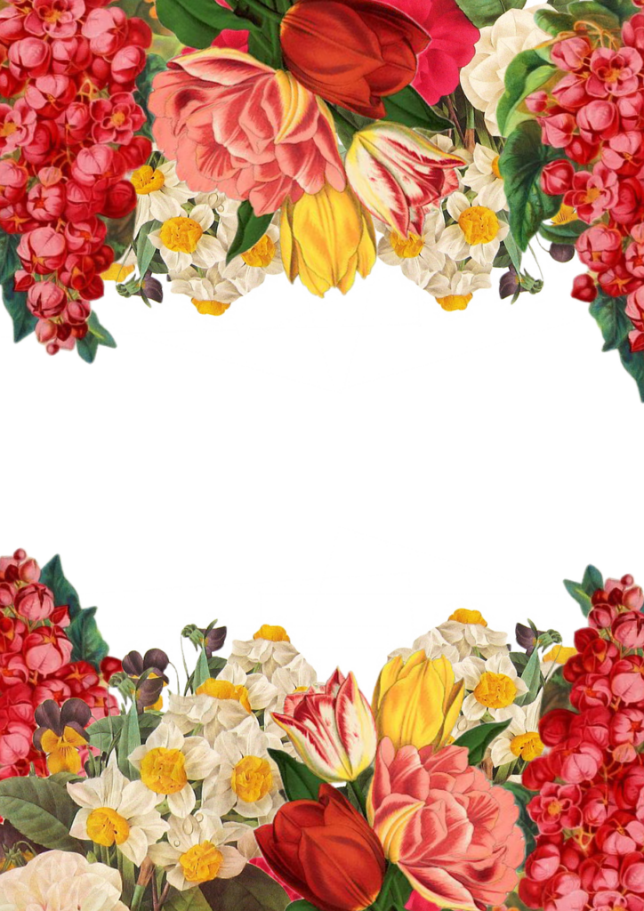Vibrant Floral Wallpaper: Colorful Flower Border Design for Any Space
