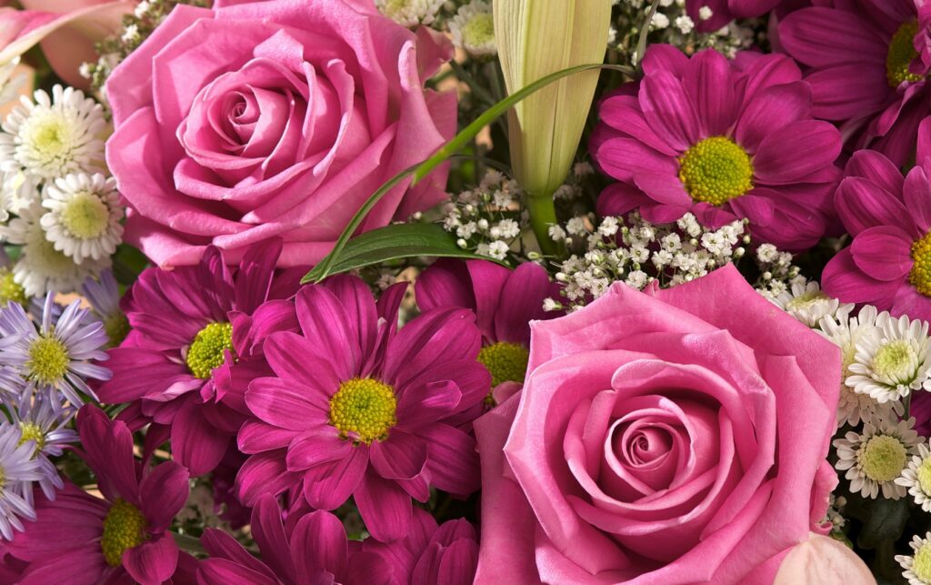 Vibrant Floral Wallpaper: Pink Roses, Magenta Chrysanthemums & Gypsophila