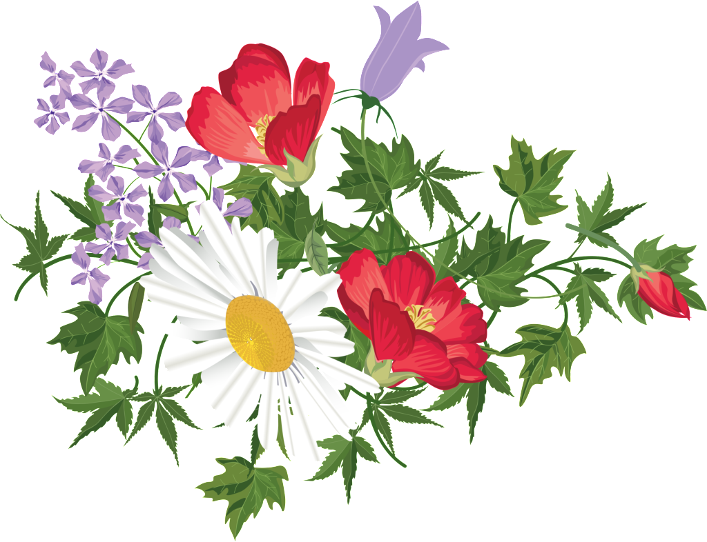 Vibrant Floral Wallpaper: Red Poppies, Daisies & Lavender Design