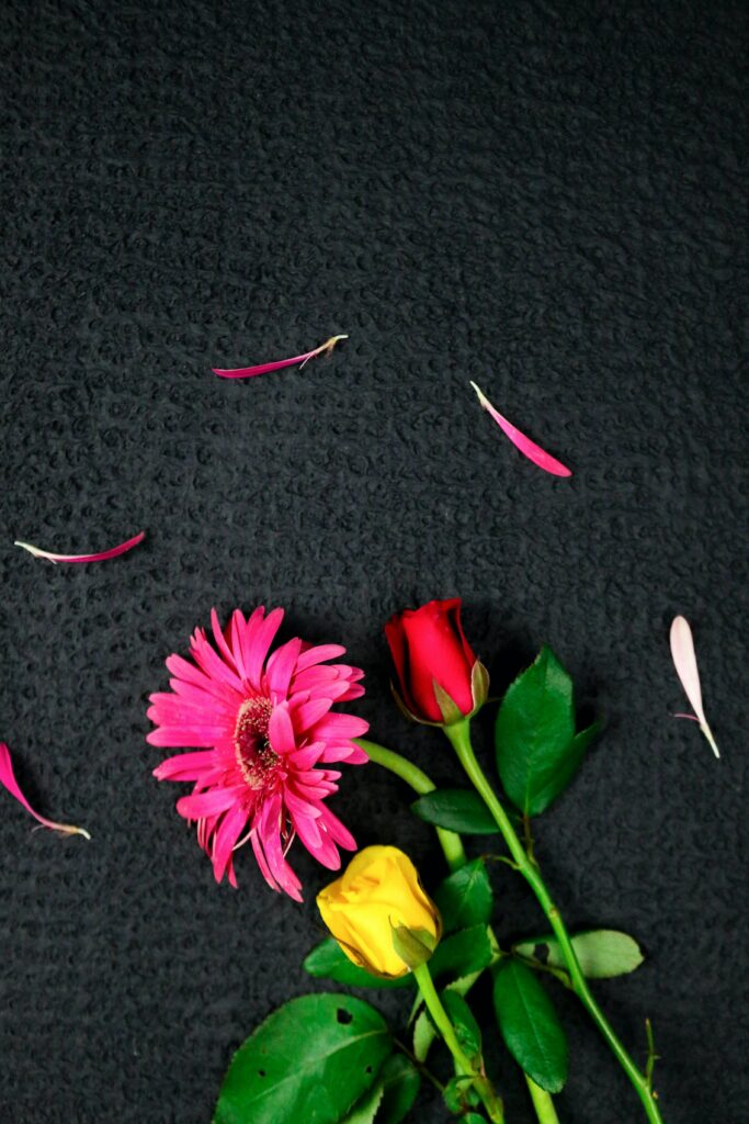 Vibrant Floral Wallpaper: Red Rose & Yellow Bloom on Dark Background