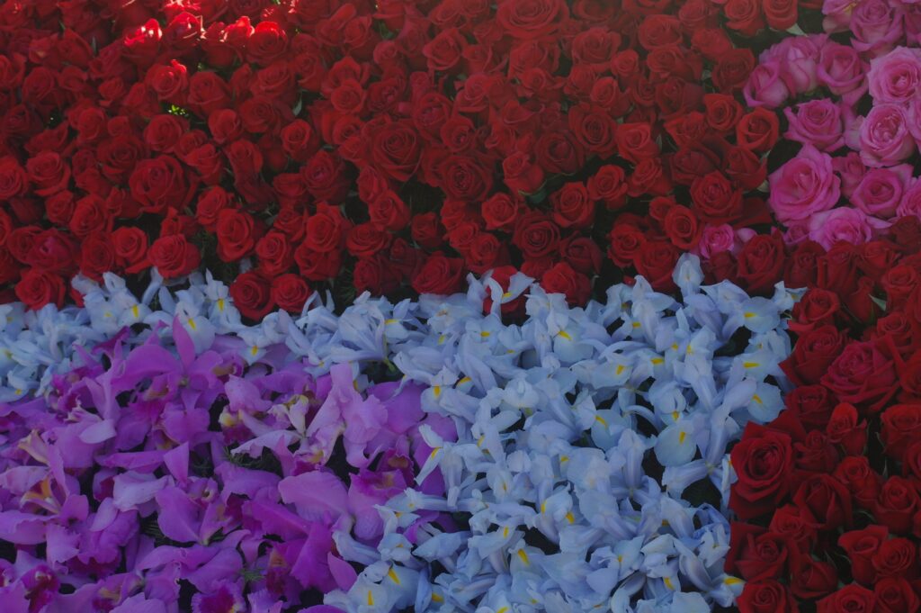 Elegant Floral Wallpaper: Red Roses & Purple Blooms Design