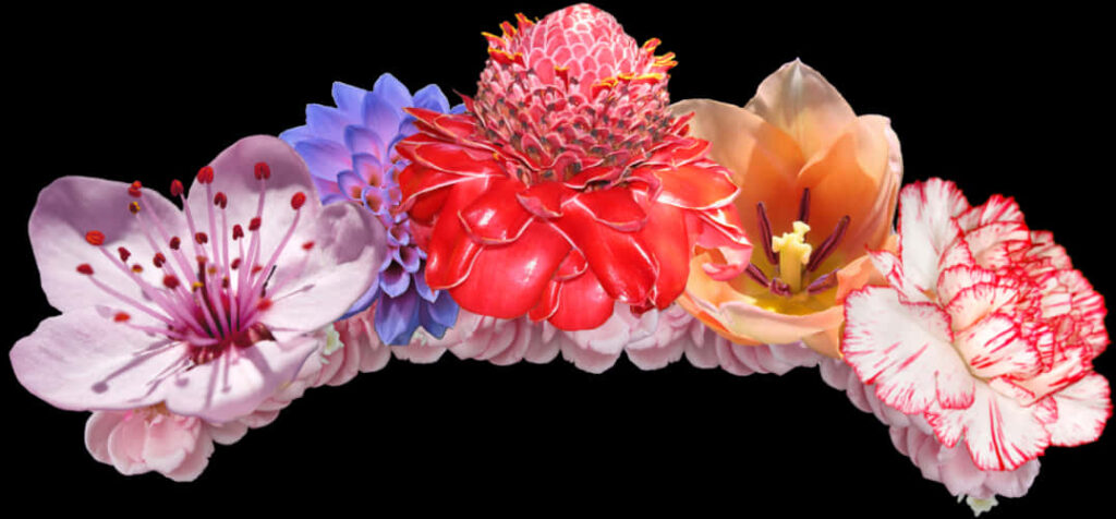 Vibrant Floral Wallpaper on Elegant Black Background - Lively Design