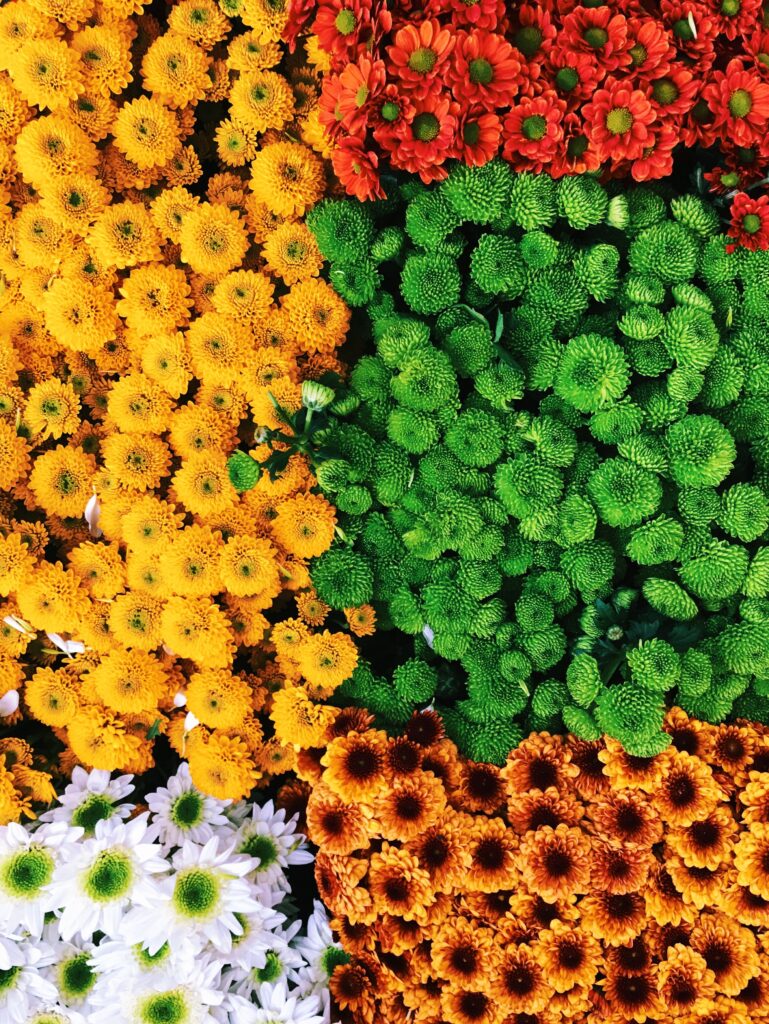 Colorful Floral Wallpaper: Vibrant Blossoms for Lively Background
