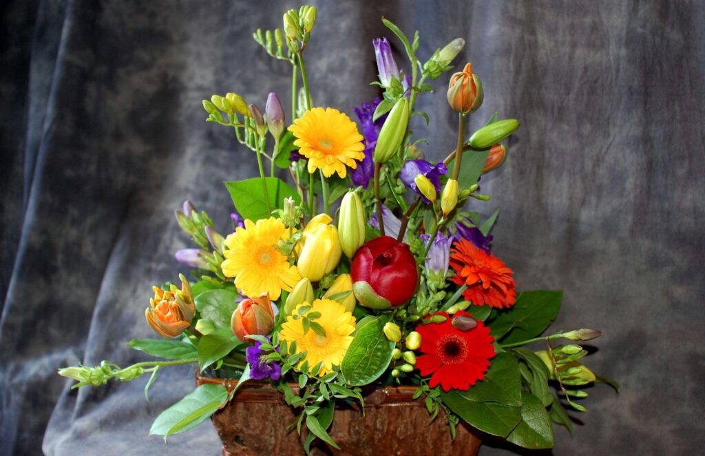 Vibrant Floral Wallpaper: Colorful Gerbera Daisies & Greenery Background
