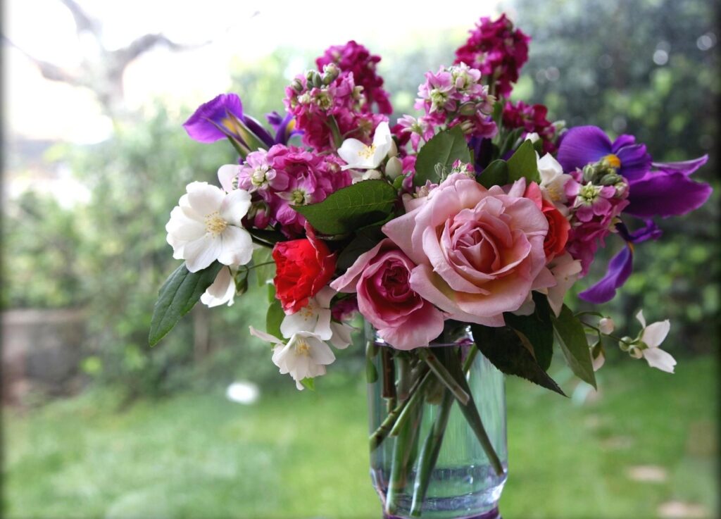 Vibrant Floral Wallpaper with Colorful Roses in a Soft Background