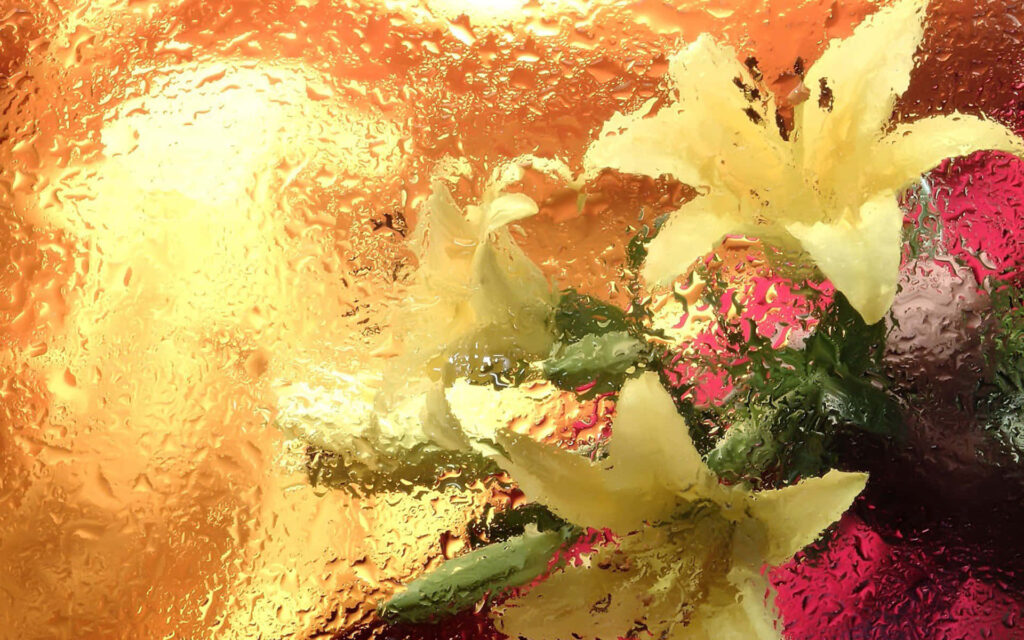 Vibrant Floral Wallpaper: Delicate Yellow Lilies on Luminous Background
