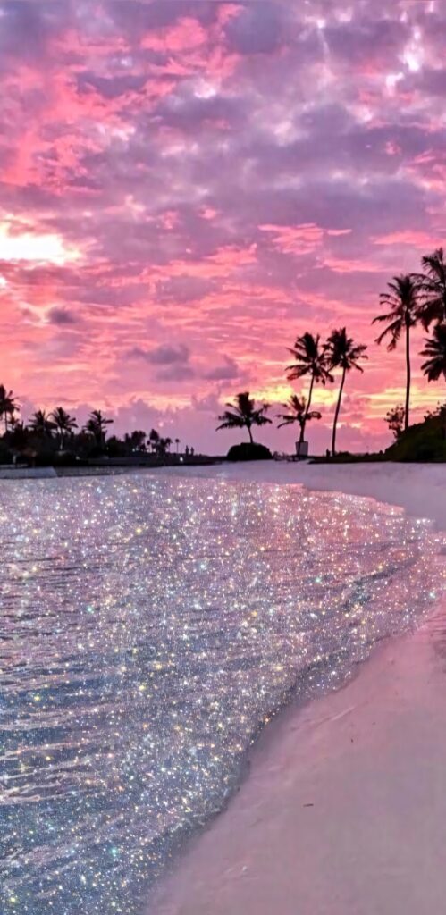 Enchanting Florida Beach Sunset Wallpaper with Palm Trees and Sparkling Shore