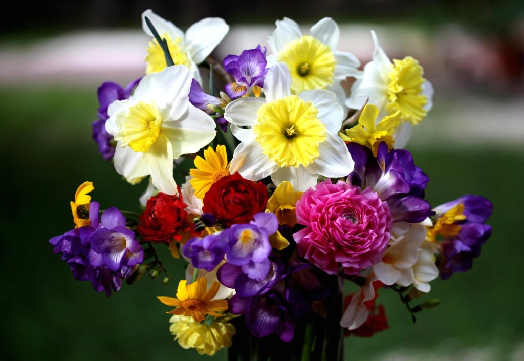 Vibrant Flower Bouquet Wallpaper: Daffodils, Roses & Freesia