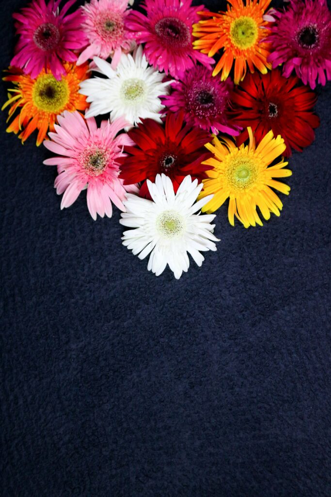 Vibrant Flower Heart Wallpaper on Dark Background - Colorful Blooms
