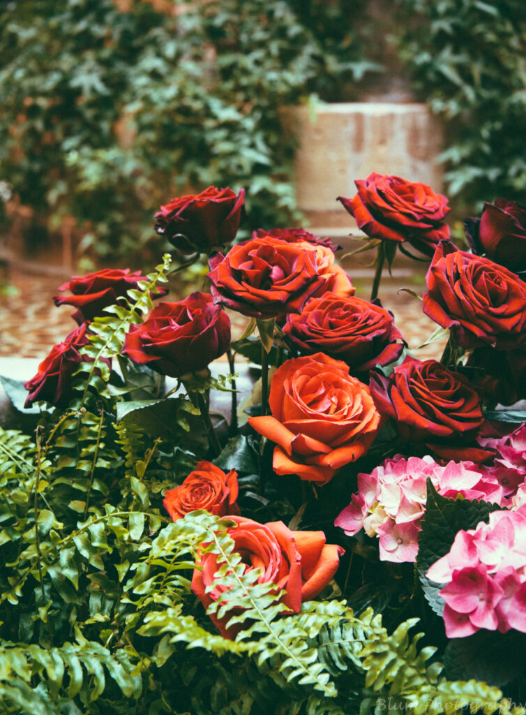 Vibrant Floral Wallpaper: Deep Red Roses & Pink Hydrangeas Background