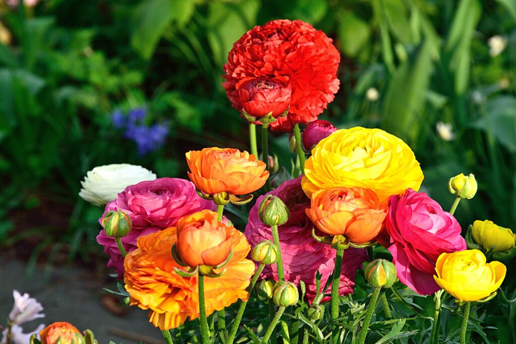 Colorful Flower Bouquet Wallpaper – Bright Nature Background