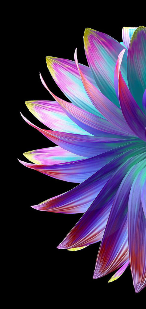 Vibrant Flower Wallpaper: Iridescent Petals on Black Background
