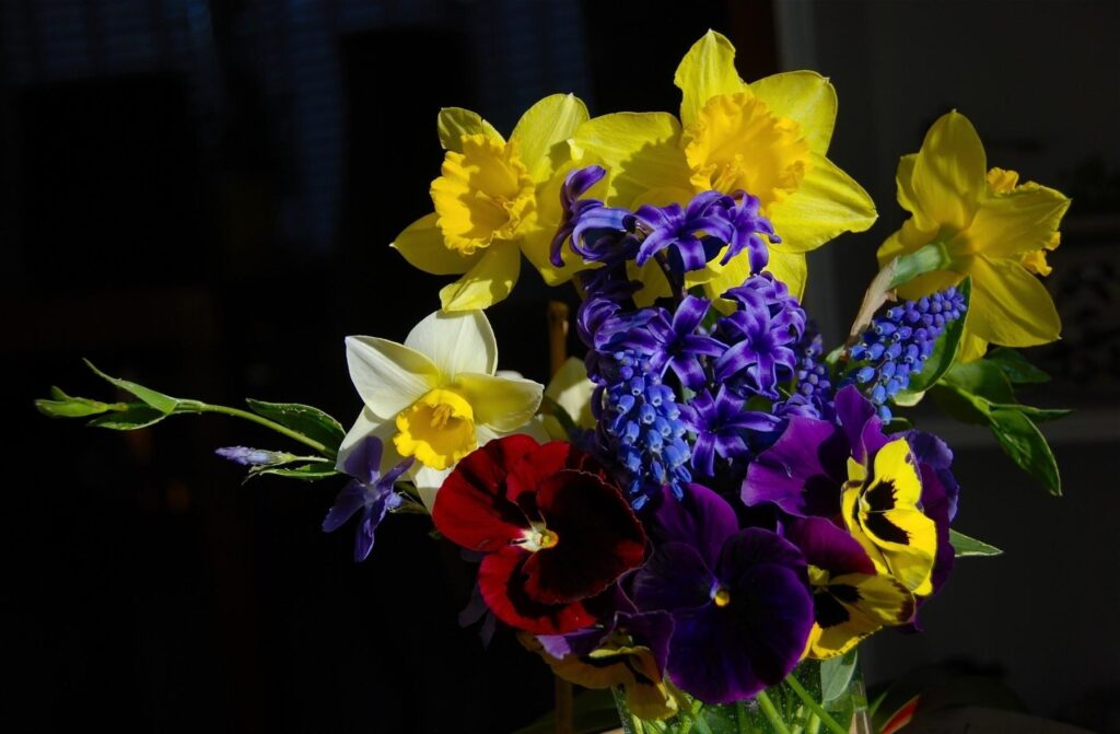 Vibrant Floral Wallpaper: Daffodils, Hyacinths & Pansies in Bold Hues