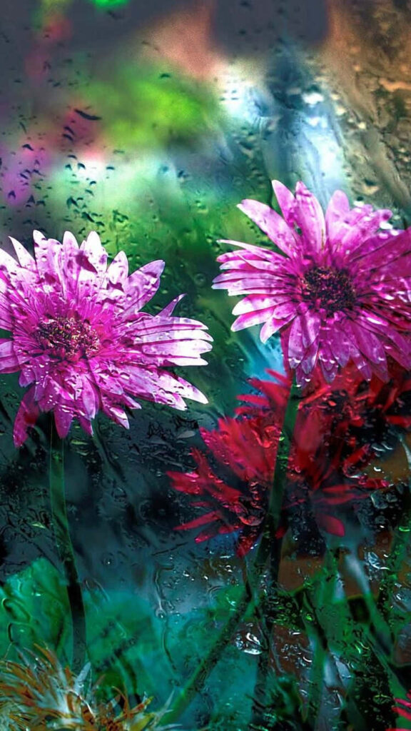 Vibrant Flower Wallpaper: Dreamy Rain-Kissed Window Background