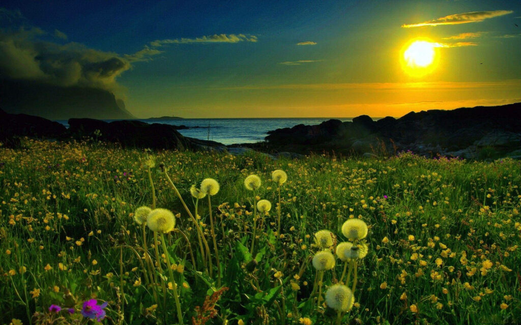 Vibrant Floral Wallpaper with Sunset Ocean Background