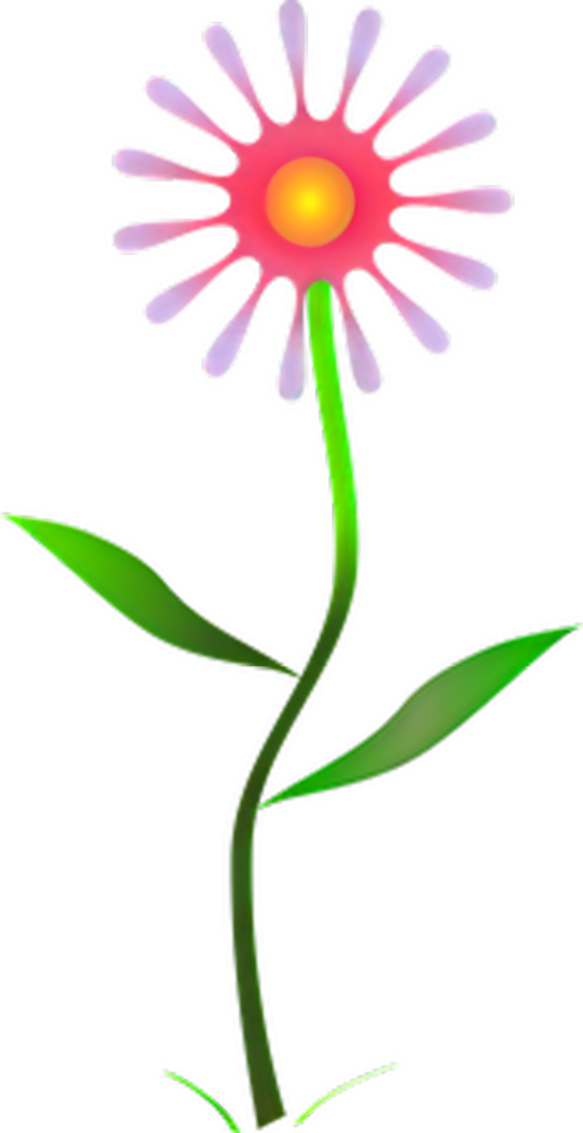 Stylized Vibrant Flower Illustration with Pink & Yellow Gradient Wallpaper