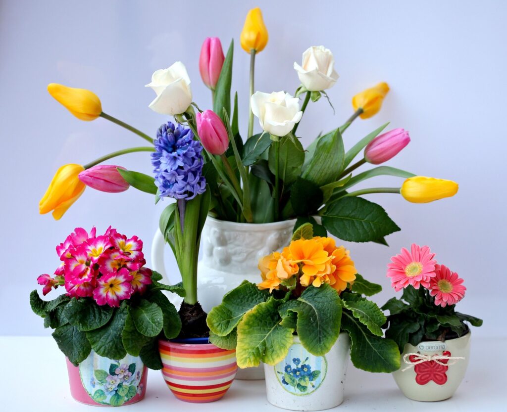 “Cheerful Floral Wallpaper: Roses, Tulips & Hyacinths in Bloom”