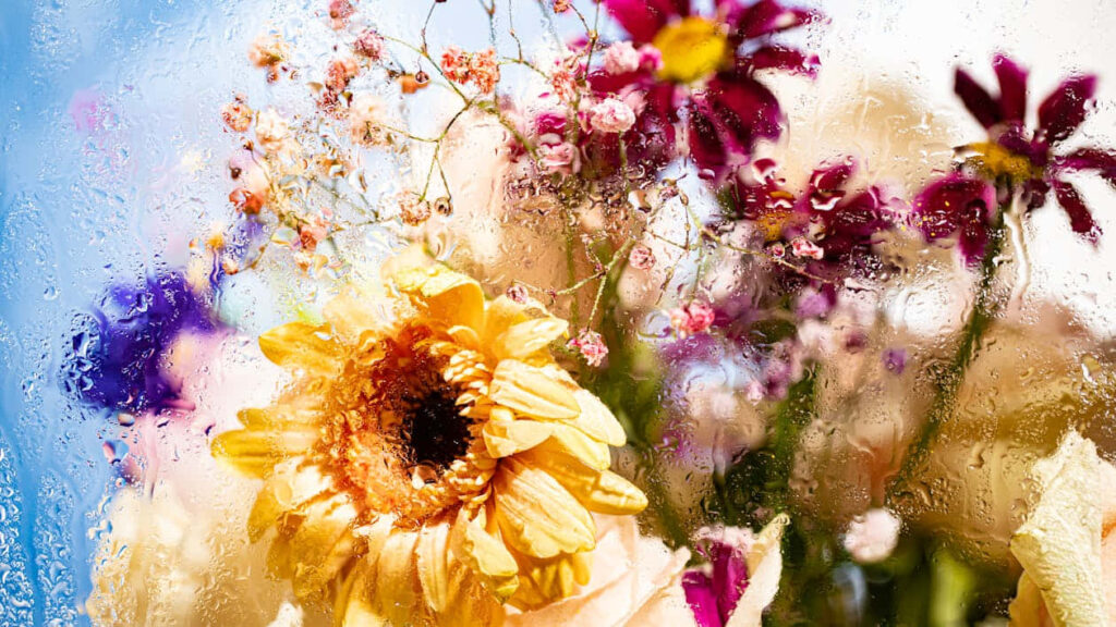 Vibrant Floral Wallpaper with Sunflowers & Raindrops - Fresh Background
