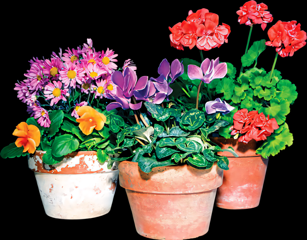 Colorful Flower Wallpaper in Rustic Terra Cotta Pots - Vibrant Background