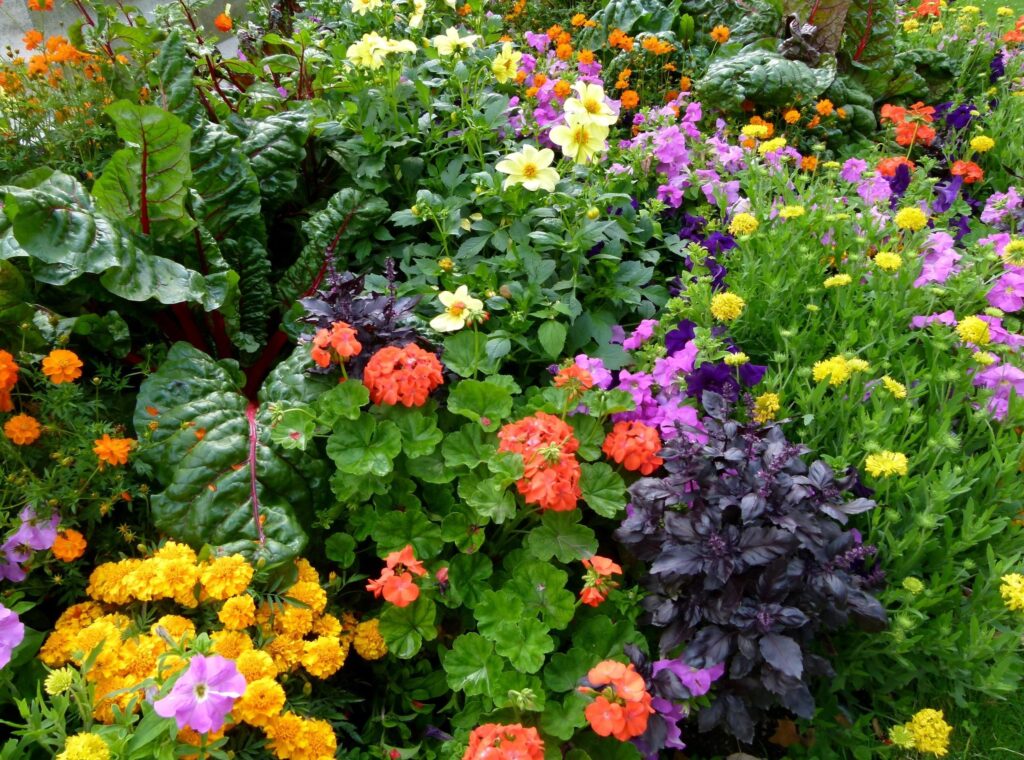 Vibrant Flowerbed Wallpaper: Colorful Blooms & Lush Garden Background