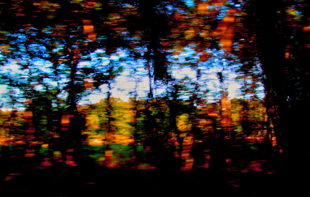 Dreamy Vibrant Forest Wallpaper with Blurred Trees & Blue Sky