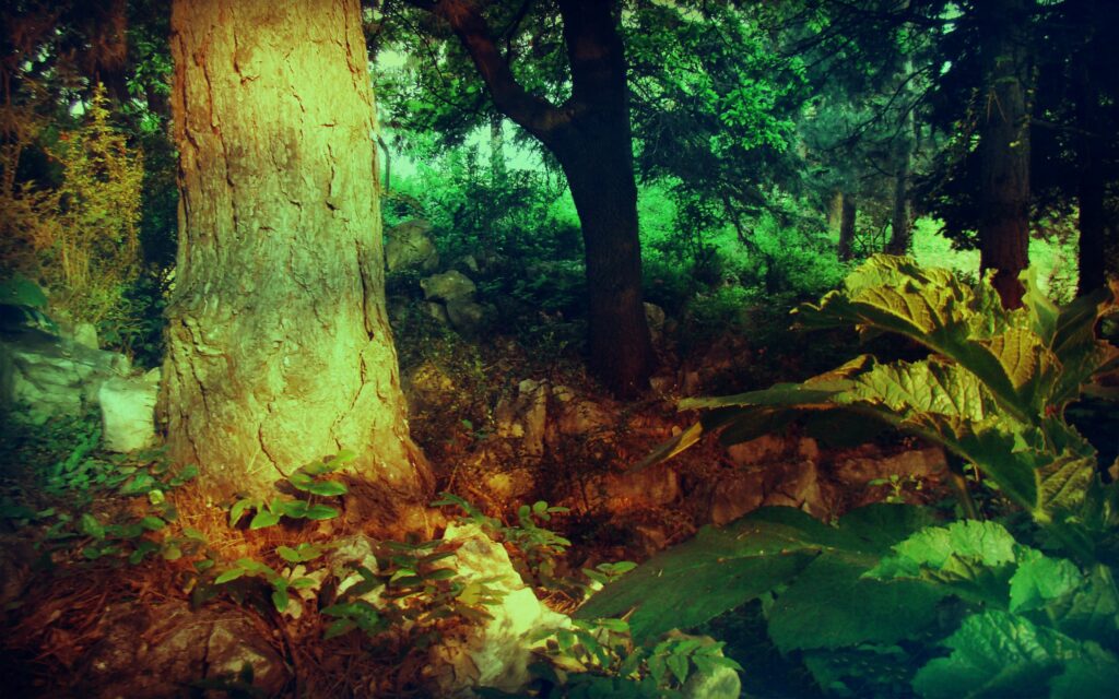Vibrant forest wallpaper with textured tree trunk lush green plants and sunlight filtering through leaves