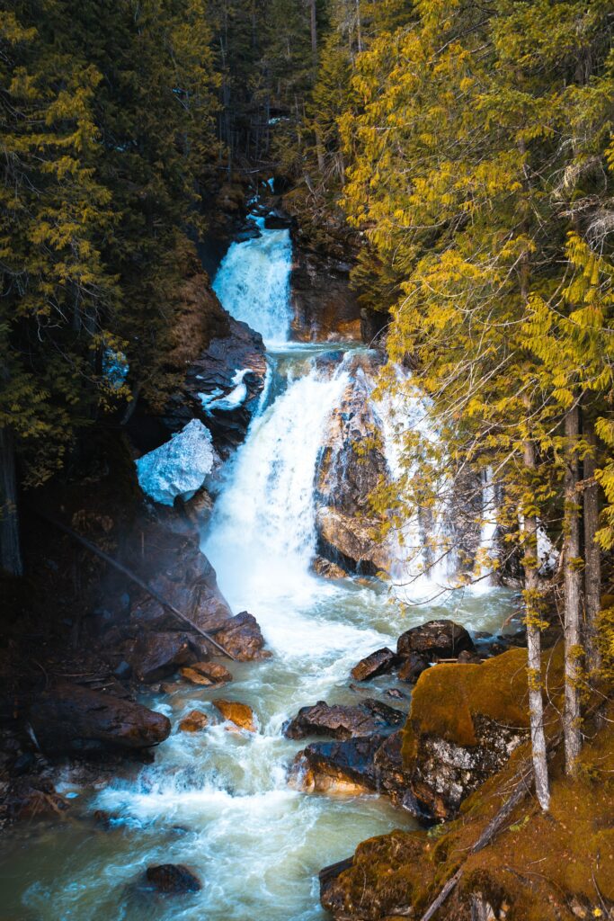 Vibrant forest waterfall cascading over rocks surrounded by tall green trees and clear stream Wallpaper