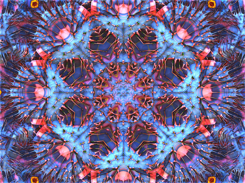 Mesmerizing Fractal Wallpaper: Vibrant Abstract Petal Design