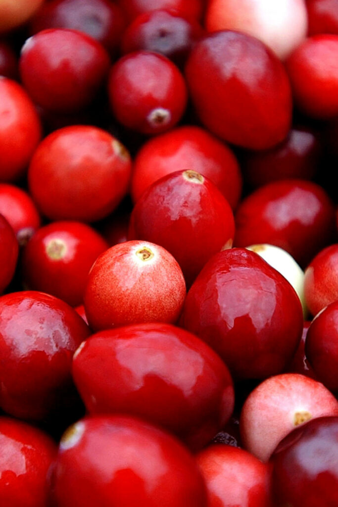 Vibrant Cranberry Wallpaper Background – Colorful Red Shades