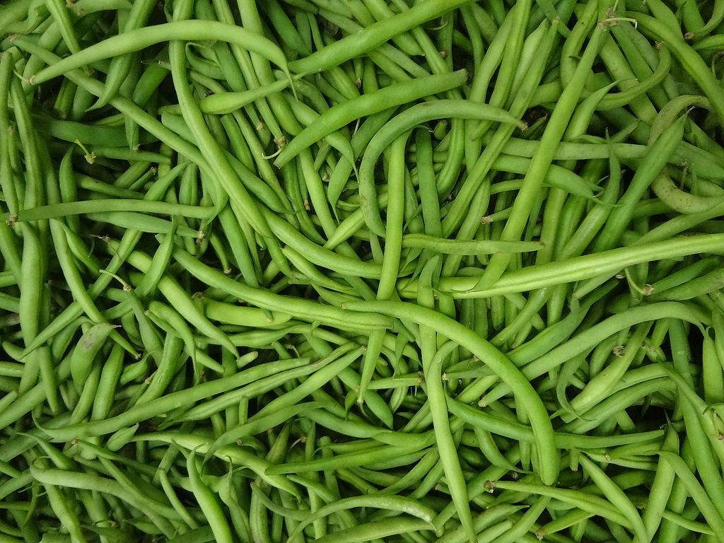 Freshly harvested green beans market pile vibrant vivid green organic texture wallpaper background