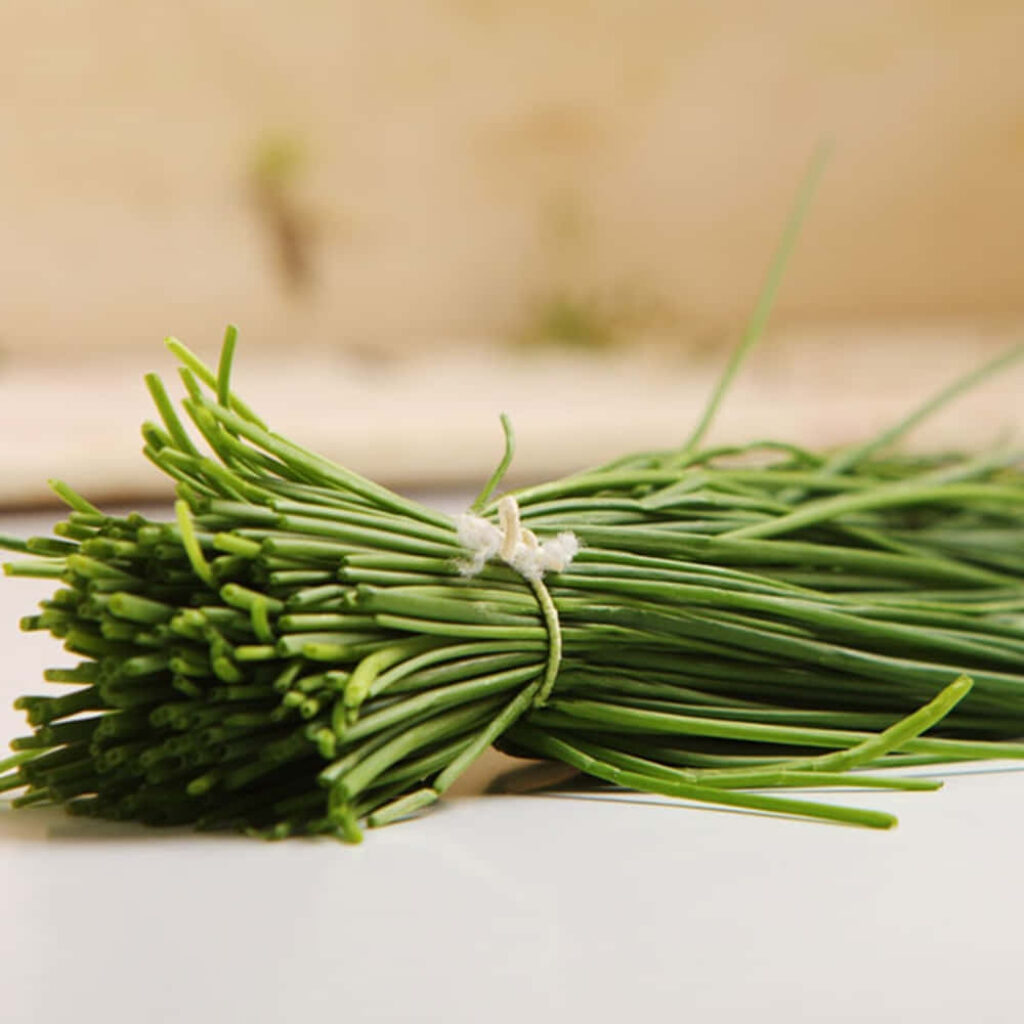 Fresh Green Chives Bundle Wallpaper: Natural Elegance on Light Surface